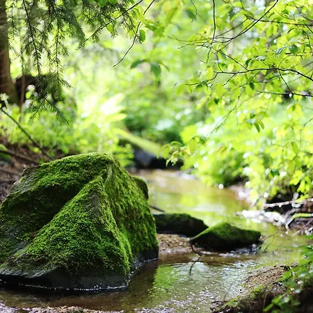 イン Langs Wirtshaus 3*