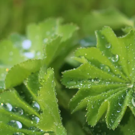 Langs Wirtshaus 3* Sankt Ulrich im Mühlkreis