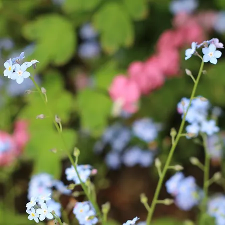 Langs Wirtshaus Gasthof Sankt Ulrich im Mühlkreis