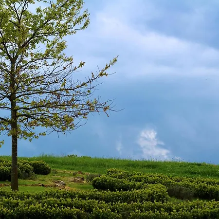 イン Langs Wirtshaus 3*