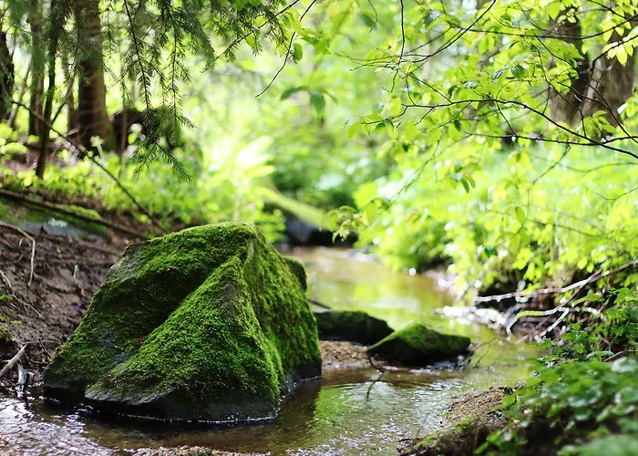 Penzion Langs Wirtshaus 3*