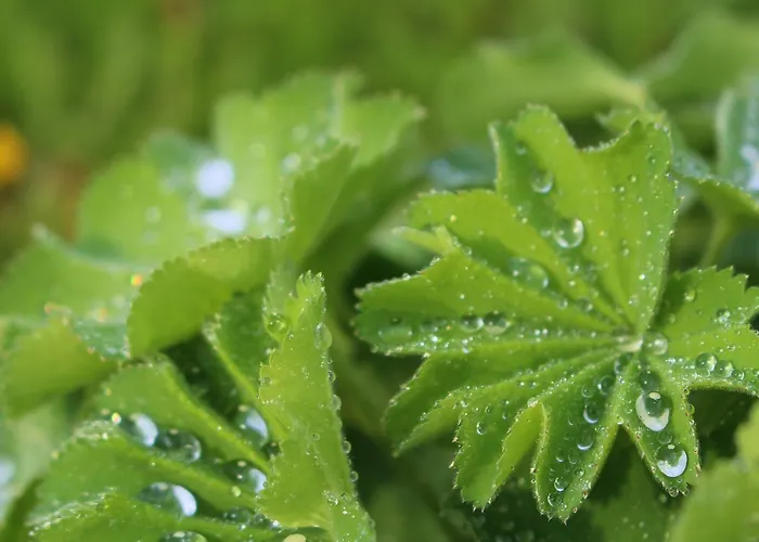 Langs Wirtshaus 3* Sankt Ulrich im Mühlkreis