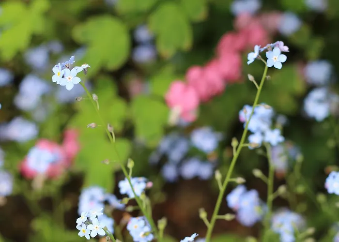 Langs Wirtshaus Penzion Sankt Ulrich im Mühlkreis