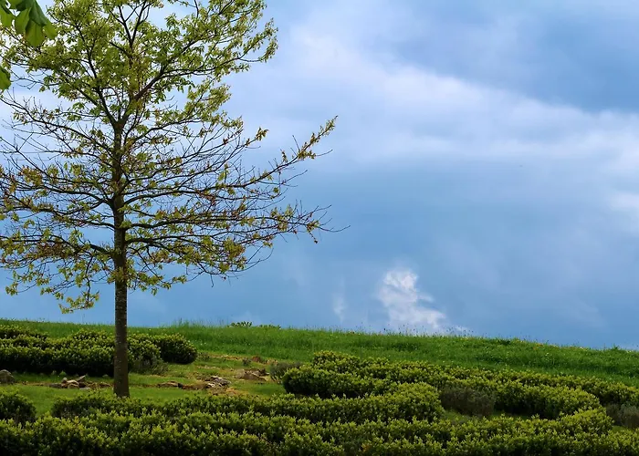 Πανδοχείο Langs Wirtshaus 3*