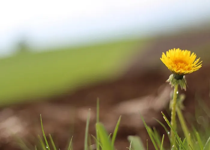 Langs Wirtshaus Πανδοχείο 3*