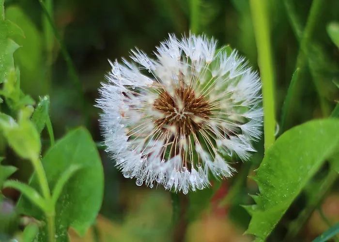 Langs Wirtshaus Sankt Ulrich im Mühlkreis