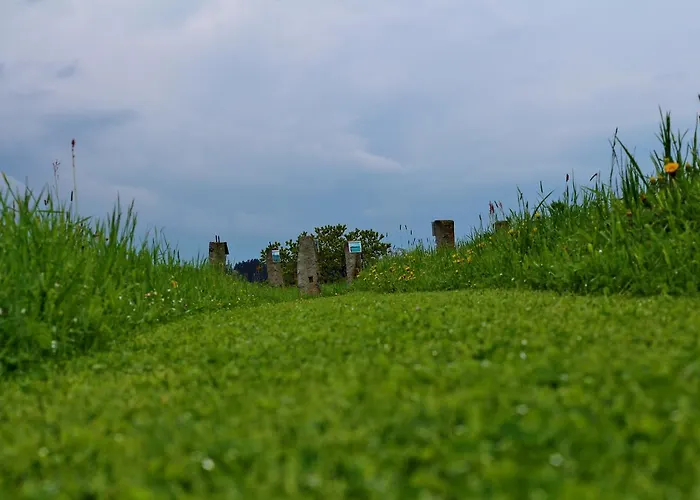 Langs Wirtshaus Мини-отель Sankt Ulrich im Muhlkreis
